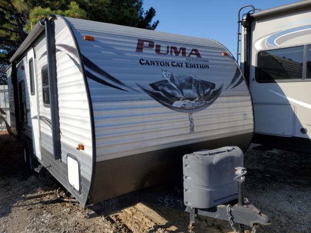  Salvage Puma Canyoncat