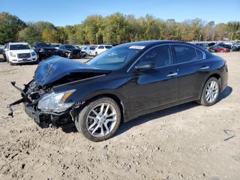  Salvage Nissan Maxima