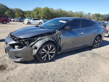  Salvage Nissan Maxima