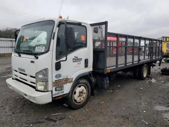  Salvage Isuzu Nqr