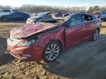  Salvage Hyundai SONATA