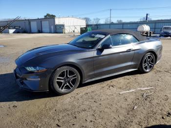  Salvage Ford Mustang