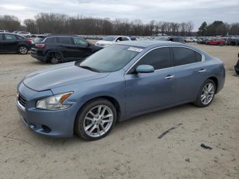  Salvage Nissan Maxima