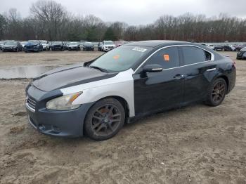  Salvage Nissan Maxima