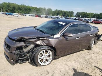  Salvage Nissan Maxima