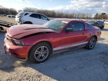  Salvage Ford Mustang