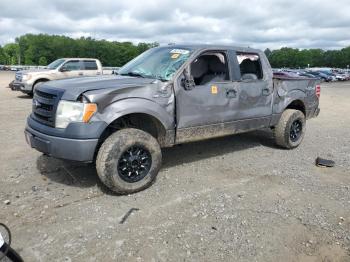  Salvage Ford F-150