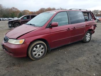  Salvage Honda Odyssey