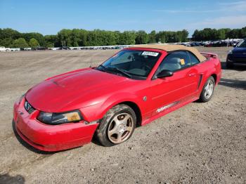  Salvage Ford Mustang