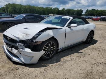  Salvage Ford Mustang