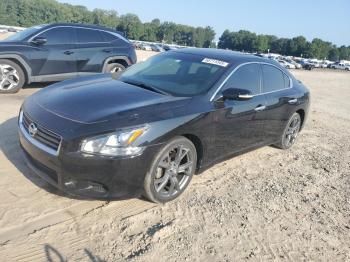  Salvage Nissan Maxima