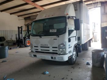  Salvage Isuzu Nqr