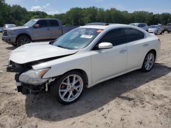  Salvage Nissan Maxima