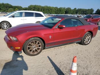  Salvage Ford Mustang