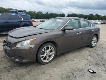  Salvage Nissan Maxima