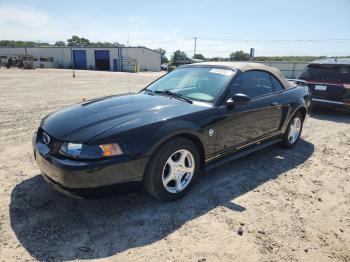 Salvage Ford Mustang
