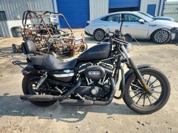  Salvage Harley-Davidson Xl883 N