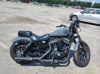  Salvage Harley-Davidson Xl883 N