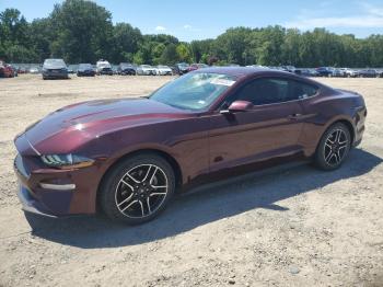  Salvage Ford Mustang
