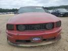 Ford Mustang Gt Image 7