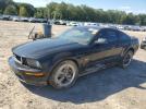 Ford Mustang Gt Image 1