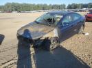 Hyundai ELANTRA Sel Image 1