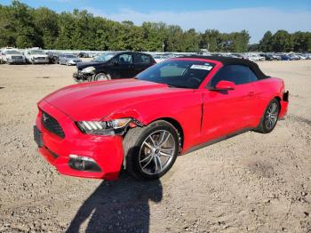  Salvage Ford Mustang