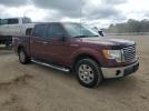 Ford F-150 Supercrew Image 8
