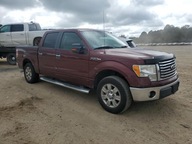 Ford F-150 Supercrew Image 8