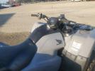 Honda Rancher Fa Image 10