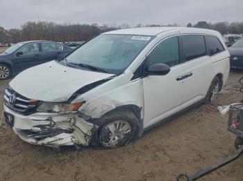  Salvage Honda Odyssey