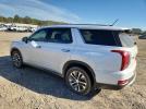 Hyundai PALISADE Sel Image 13