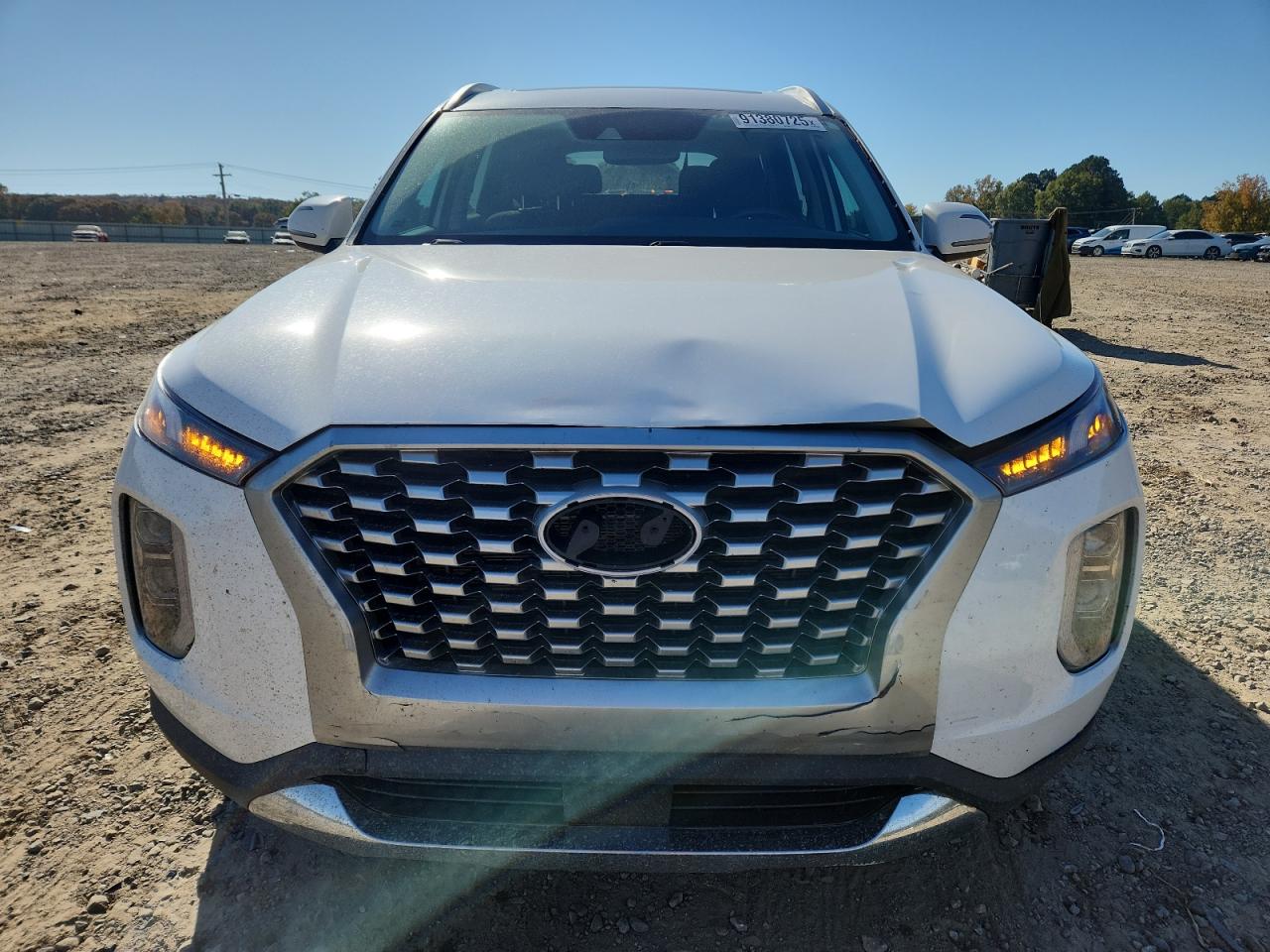 Hyundai PALISADE Sel Image 7