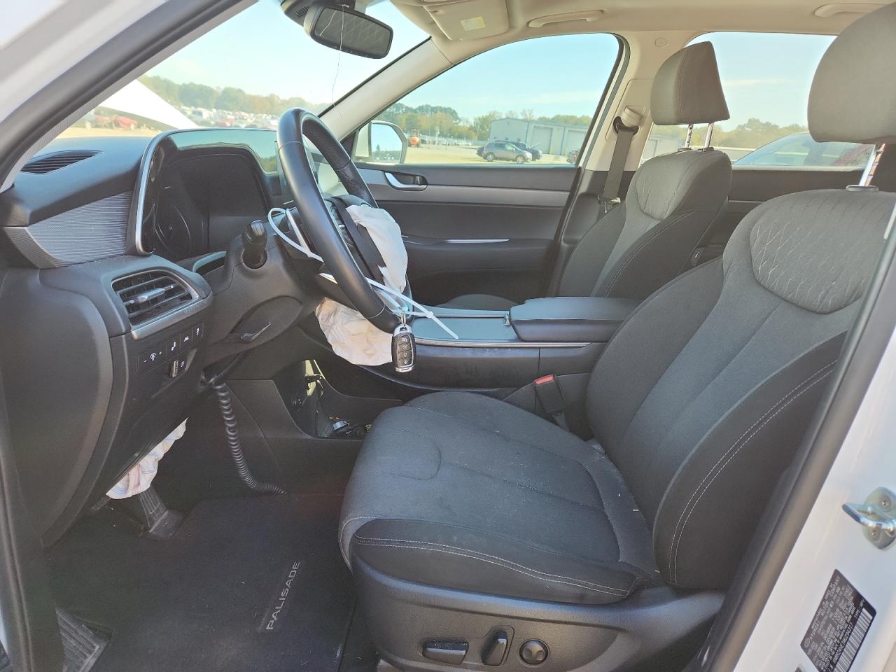 Hyundai PALISADE Sel Image 10