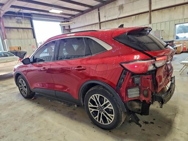 Ford Escape Sel Image 9