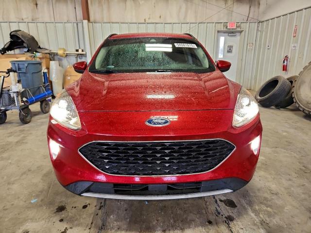 Ford Escape Sel Image 12