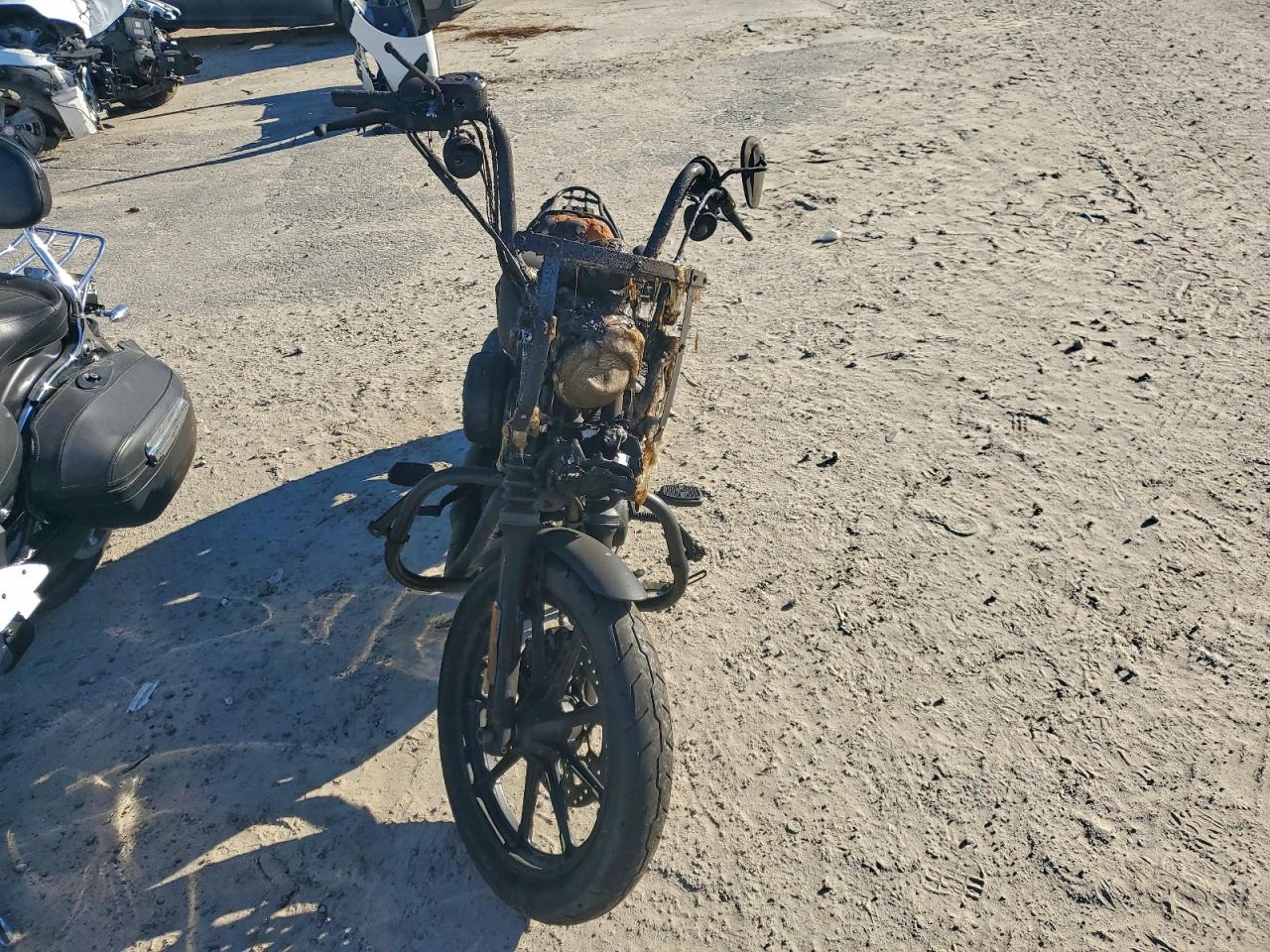 Harley-Davidson Xl1200 Ns Ns Image 3