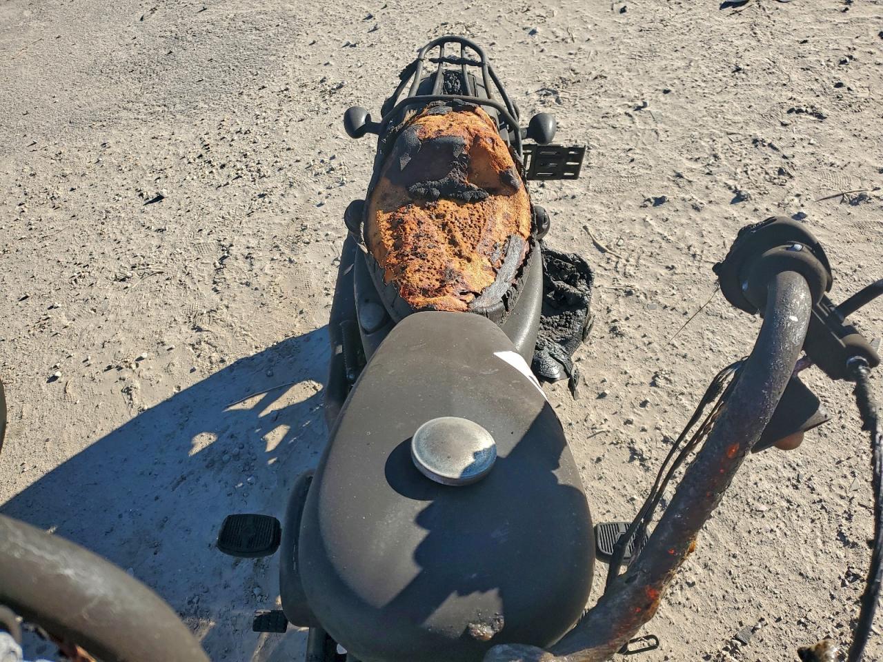 Harley-Davidson Xl1200 Ns Ns Image 2