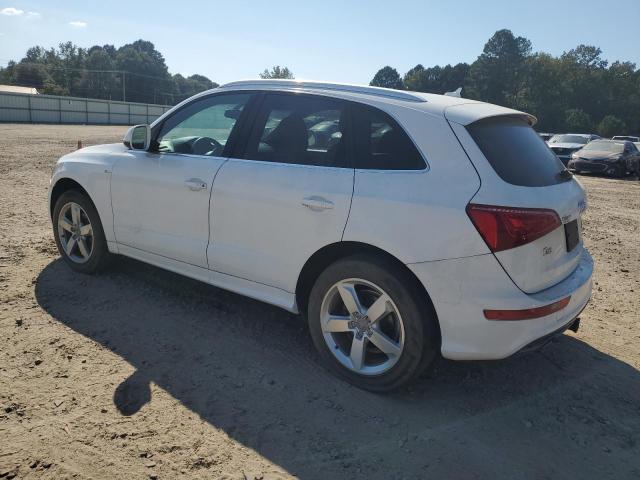 Audi Q5 Premium Plus Image 6