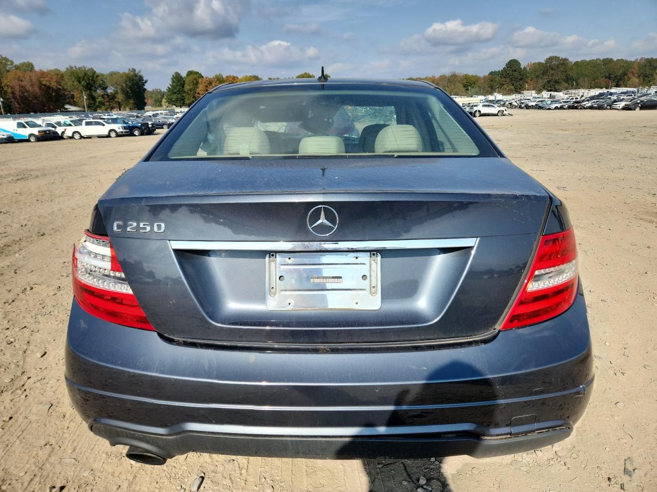 Mercedes-Benz C-Class 250 Image 7