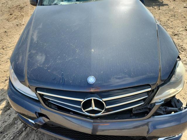 Mercedes-Benz C-Class 250 Image 12