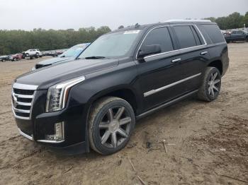  Salvage Cadillac Escalade