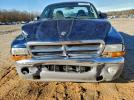 Dodge Dakota Slt Image 8