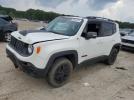 Jeep Renegade Trailhawk Image 1