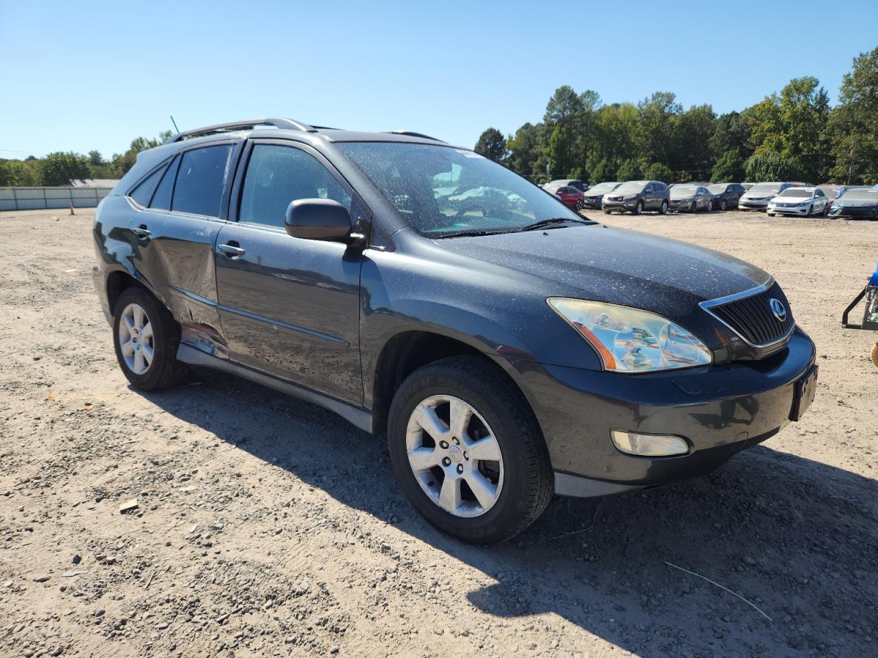 Lexus RX 330 Image 7