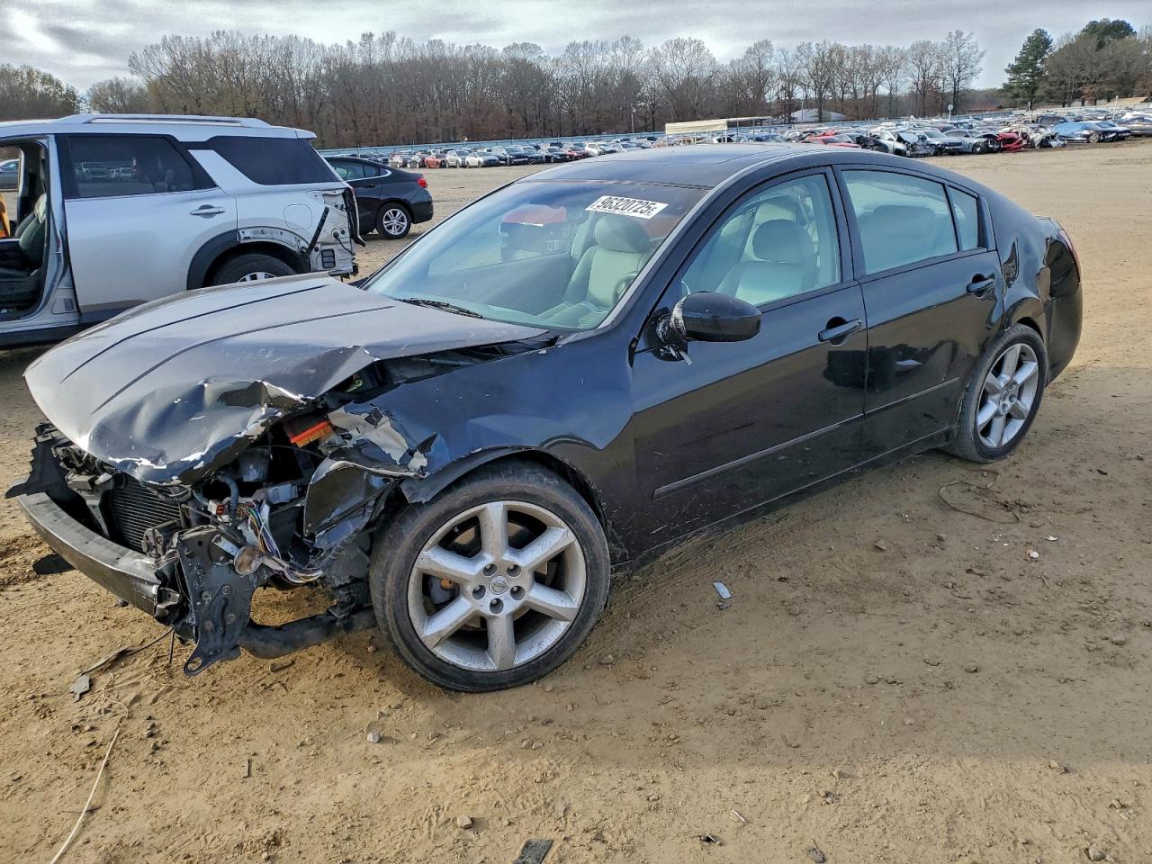 Nissan Maxima Se Image 1