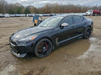  Salvage Kia Stinger